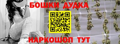 дмт Аргун