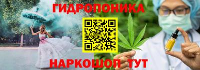 дмт Аргун