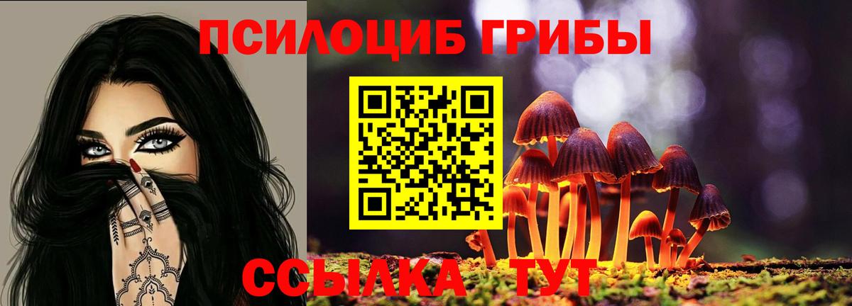 Галлюциногенные грибы ЛСД Волжск